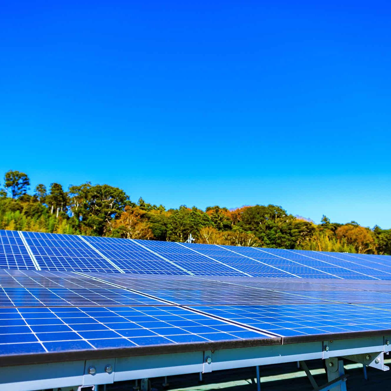 可再生能源巨型太阳能电池板